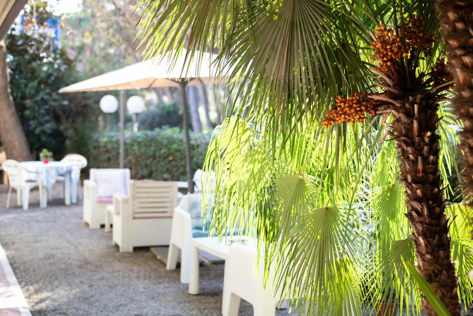 Hotel Parco Dei Pini - 100Mt Dal Mare Follonica Buitenkant foto